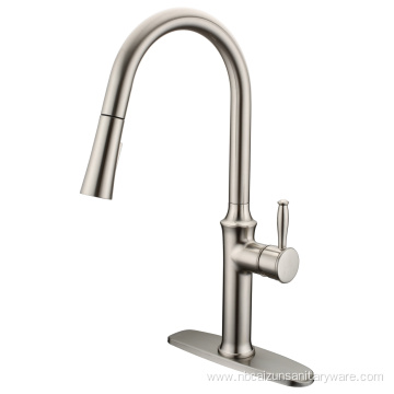 Kitchen Tap With Pull Down Sprayer